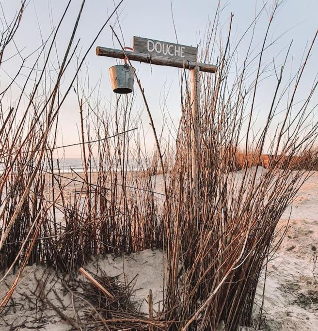 Little Beach House Зандвоорт Екстериор снимка
